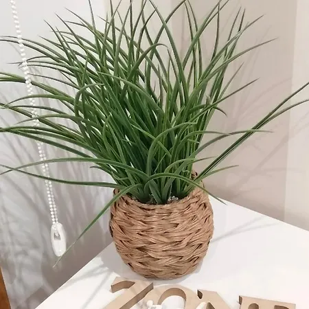 Carles Deluxe Ocean View