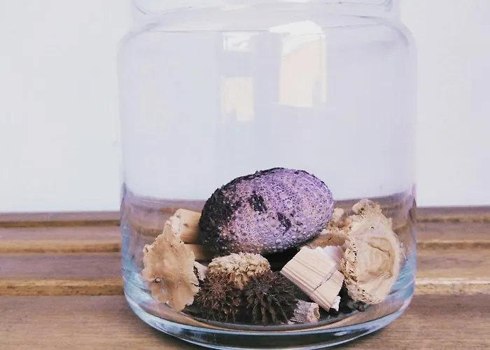 Apartamento Carles Deluxe Ocean View